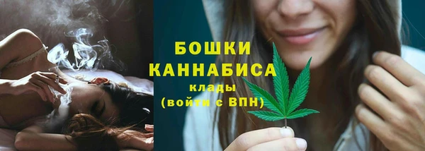твердый Мегион