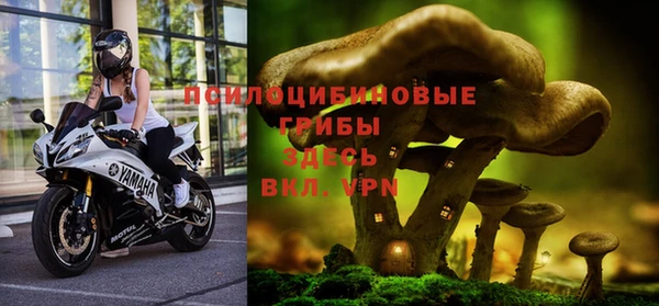 гидропоника Абаза
