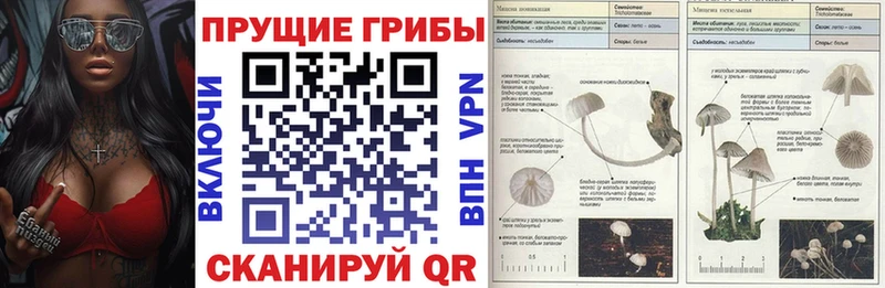 Псилоцибиновые грибы GOLDEN TEACHER  Новая Усмань 